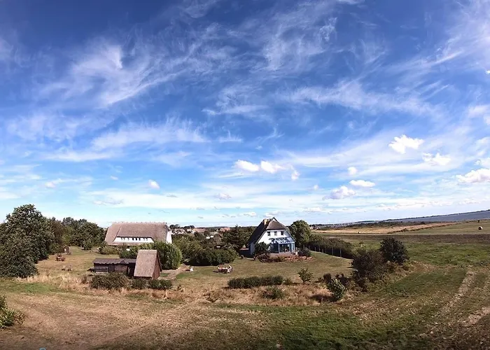 Suederhaus Hiddensee App 11 * Neuendorf (Hiddensee)